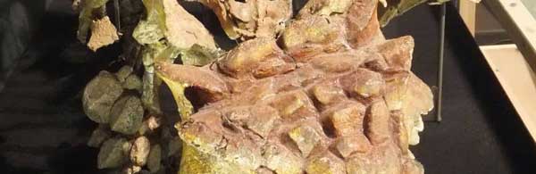 Nombres de Género Q-Z