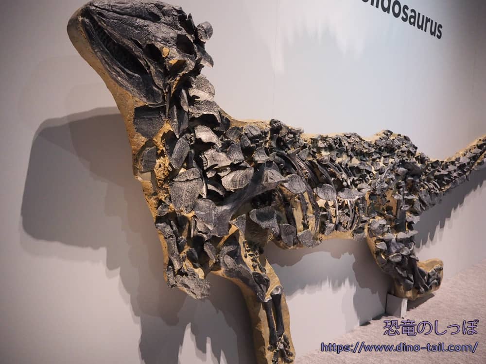 Esqueleto fósil completo de Scelidosaurus