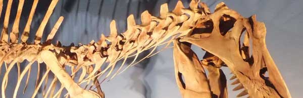 Nombres de Género A-G