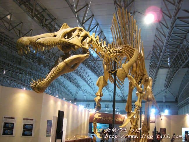 Esqueleto fósil completo de Spinosaurus