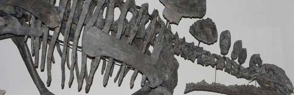 Nombres de Género A-G