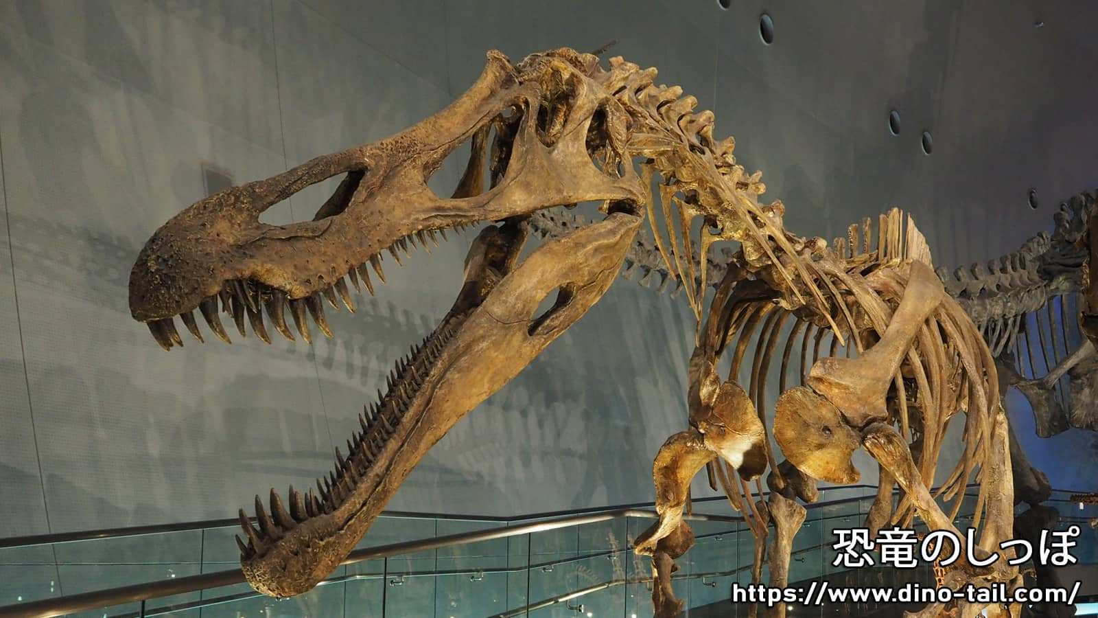 Fósil de cráneo de Suchomimus