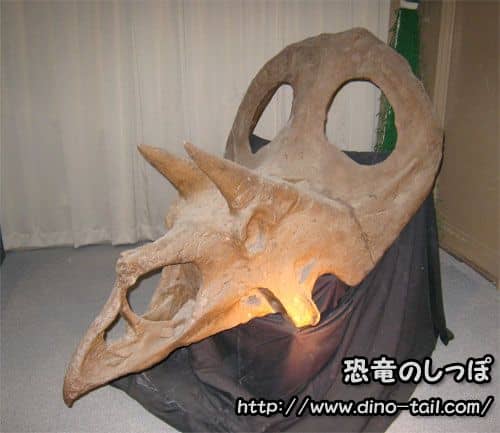 Cráneo fósil de Torosaurus