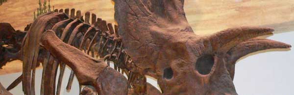 Nombres de Género Q-Z