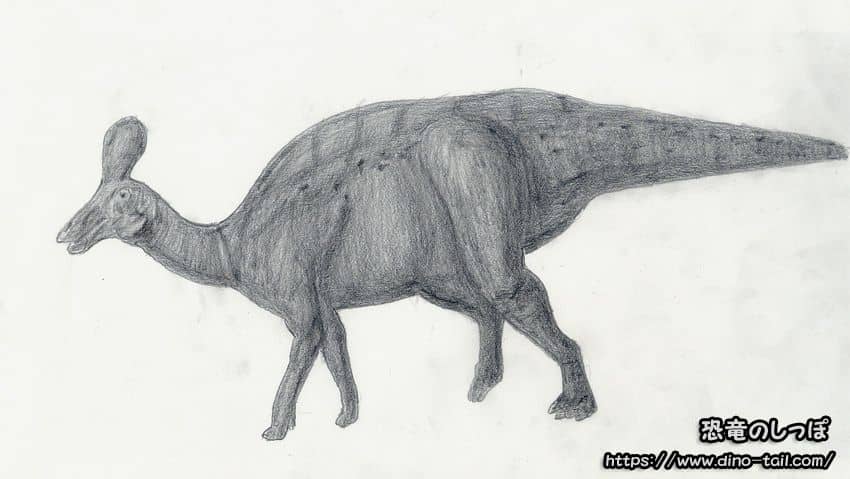 Ilustración de Tsintaosaurus