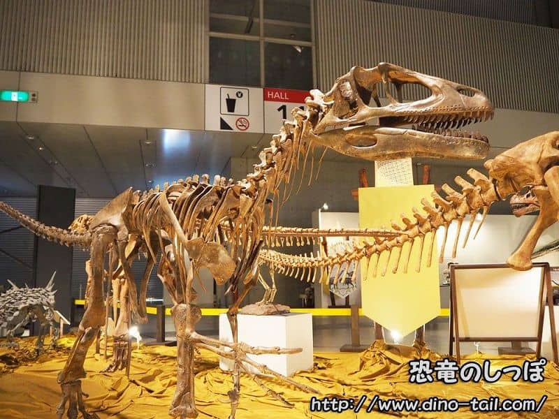 Esqueleto fósil completo de Utahraptor