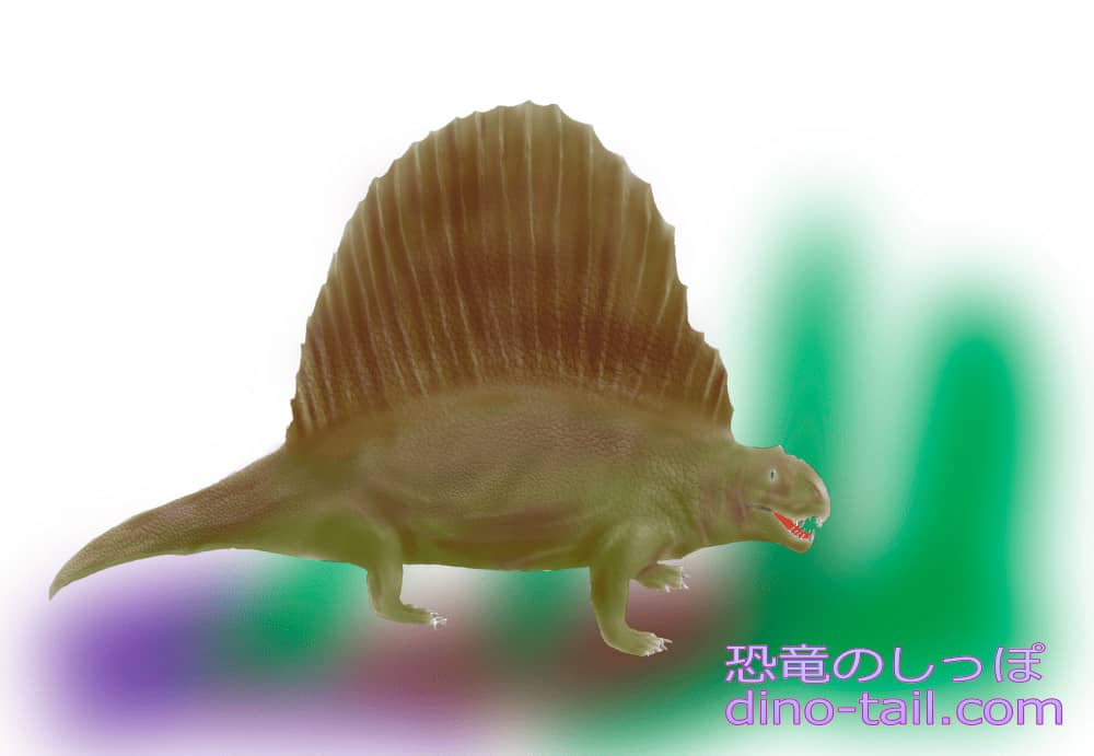 ディメトロドン(Dimetrodon)のイラスト