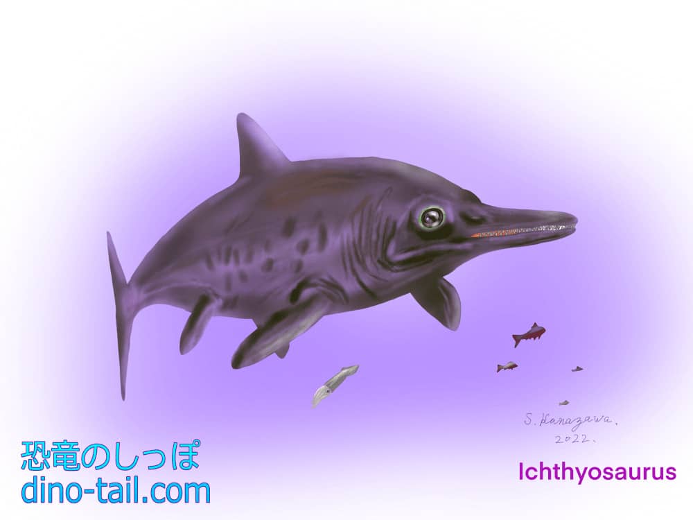 イクチオサウルス(Ichthyosaurus)のイラスト
