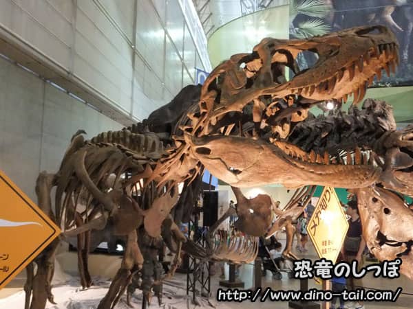 ライスロナックス全身骨格化石