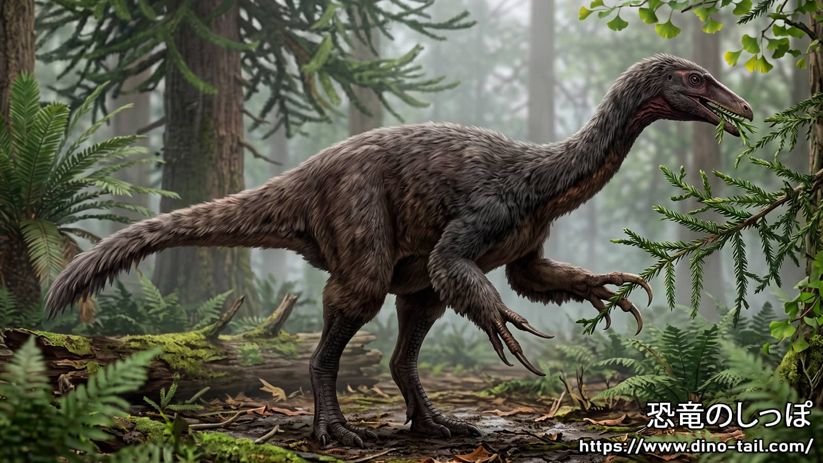 カイラサウルス（Kayrasaurus changliensis）のイラスト