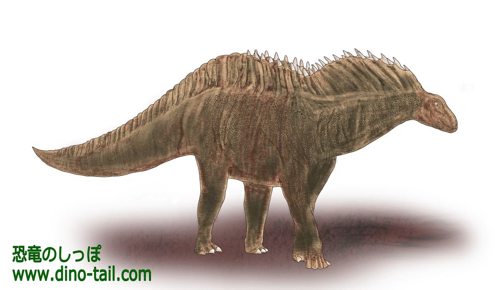 アマルガサウルスのイラスト(2022年)