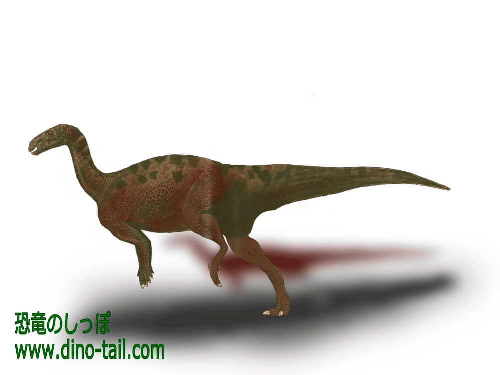 カンプトサウルス(Camptosaurus)のイラスト