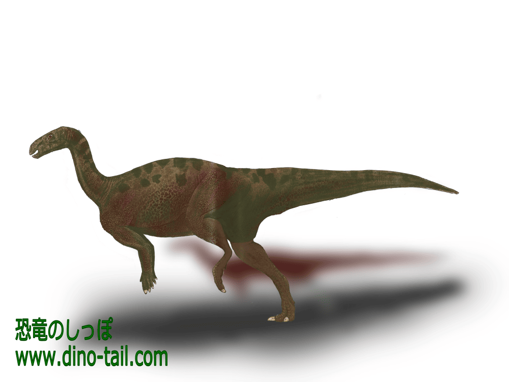 カンプトサウルス(Camptosaurus)のイラスト