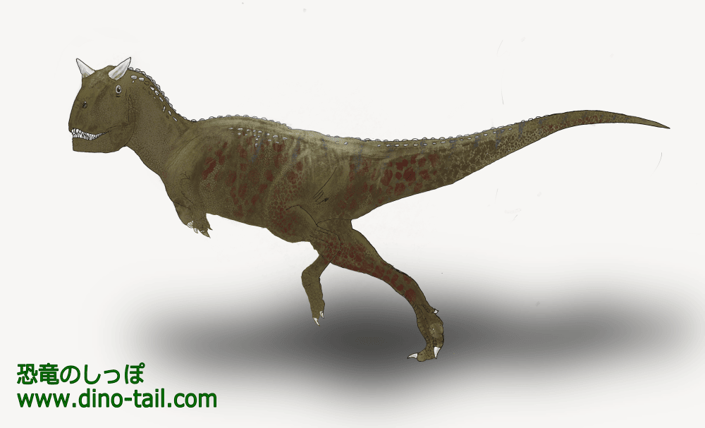 カルノタウルス Carnotaurus