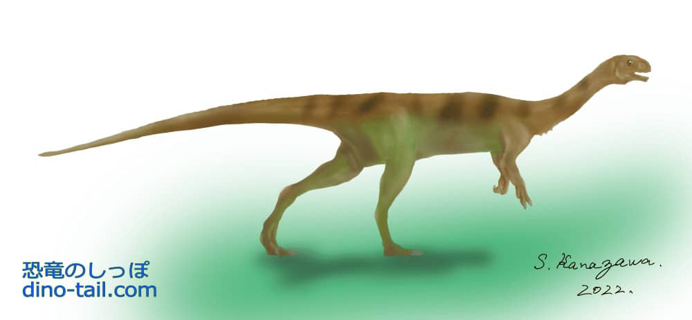 チレサウルス(Chilesaurus)のイラスト
