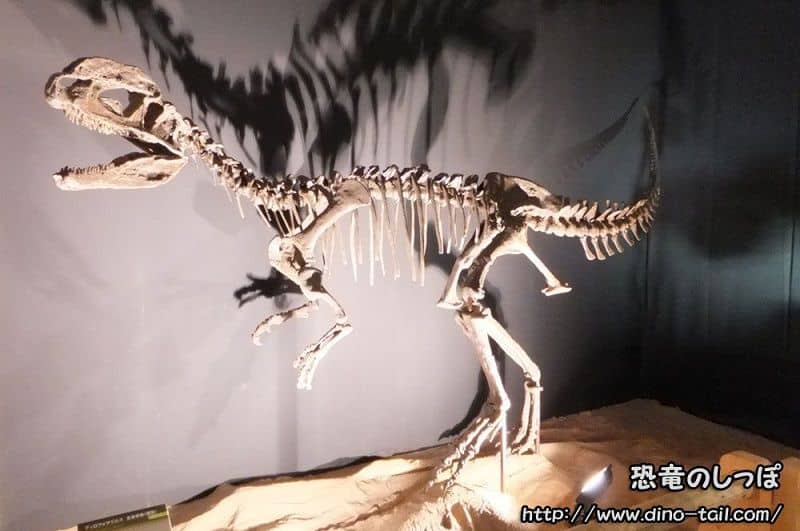 ディロフォサウルス 恐竜のしっぽ 図鑑