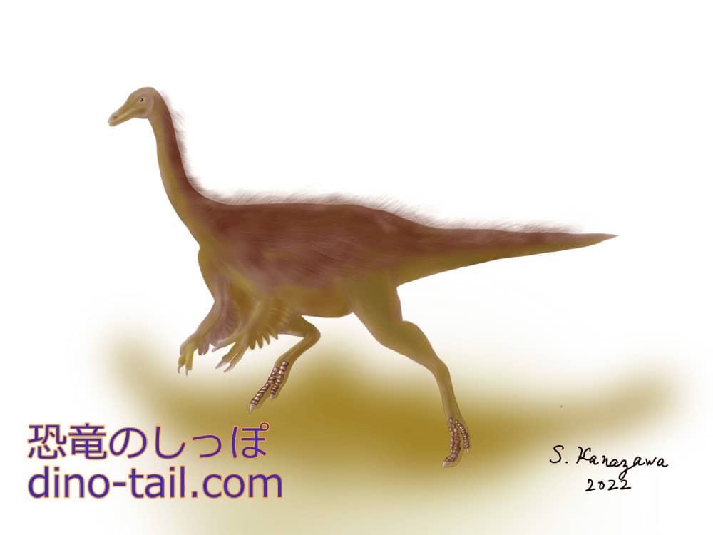 ガリミムス(Gallimimus)のイラスト