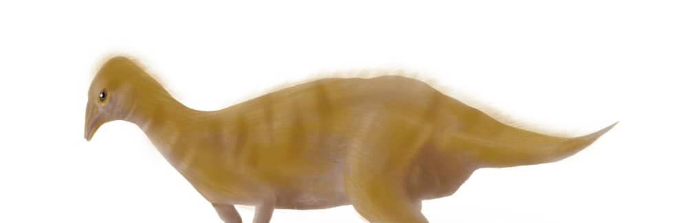 ラエリナサウラ