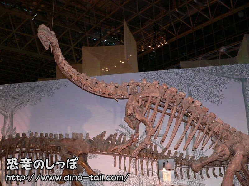 ファヤンゴサウルス科
