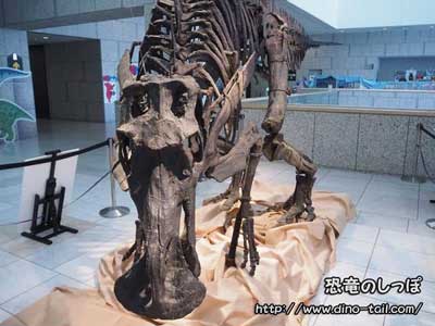 マイアサウラ | 恐竜のしっぽ -図鑑-