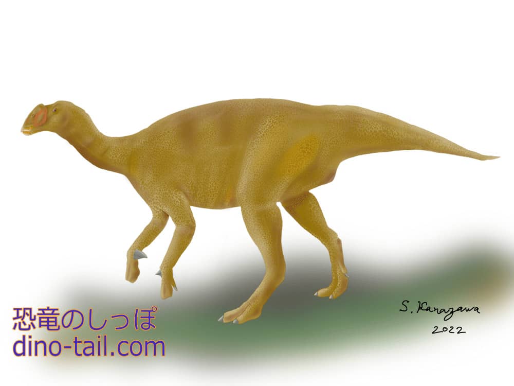 ムッタブラサウルス(Muttaburrasaurus)のイラスト