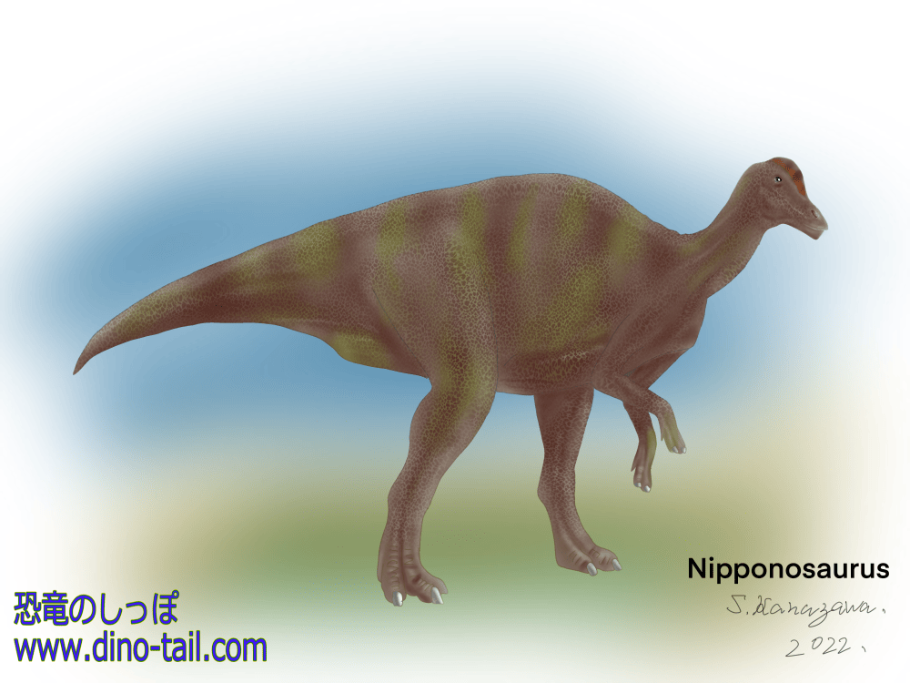 ニッポノサウルスのイラスト(2022年)