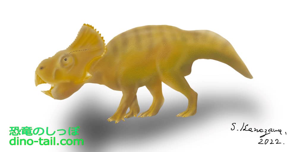 プロトケラトプス(Protoceratops)のイラスト