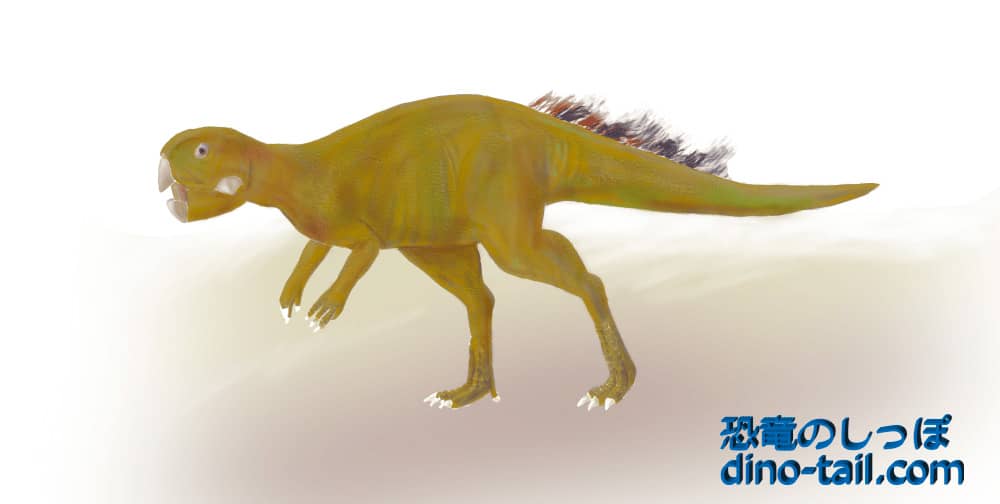 プシッタコサウルスのイラスト