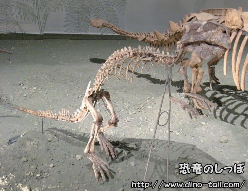 プシッタコサウルス