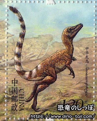 シノサウロプテリクスの化石