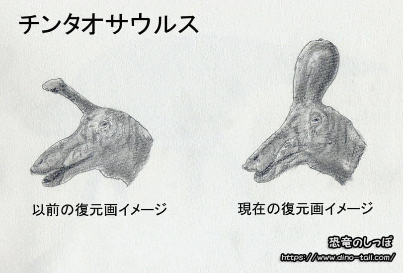 チンタオサウルスのトサカ新説
