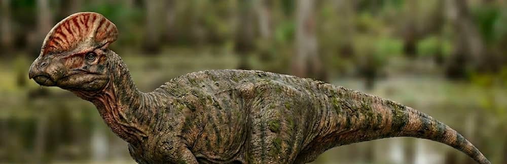 ヴェラフロンス